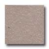 Florida Tile Metropolitan Quarry 6 X 6 Quarry Basics Puritan Grey Tile & Adamant