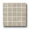 Florida Tile Montana Mosaic Beige Tile & Stone