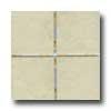 Florida Tile Mosaic Art 12 X 12 Swa Oats Tile & Stone