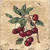 Florida Tile Pietra Art Accents - Inserts Cherry Tile & Stone