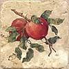 Floroda Tile Pietra Art Accents - Inserts Apple Tile & Stone