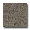 Florida Tile Pietra Art Granite 12 X 12 Tropical Brown Tile & Stone