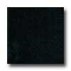 Florida Tile Pietra Art Granite 12 X 12 Absolute Bkack Tile & Stone