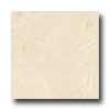 Florida Tile Pietra Art Marble 12 X 12 Crema Marfil Gauge Tile & Stone