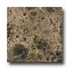 Florida Tile Pietra Art Marble 12 X 12 Emperador Dark Tile & Stone