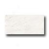 Flprida Tile Pietra Cunning Mosaics 3 X 6 Polished White Statuary Tile & Stone