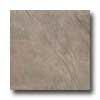 Florida Tile Pietra Art Slate Ii 12 X 12 Copper Poloshed Slate Tile & Stone