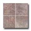 Florida Tile Scottish 19 X 19 Red Tile & Stone