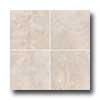 Florida Tile Scottish 19 X 19 Of a ~ color Tile & Stone