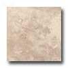 Florida Tilr Terrace 8 X 12 Garden Rock Taupe Tile & Stone