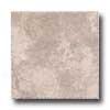 Florida Tile Villa Antica 18 X 18 Noce Tile & Stone