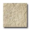 Fondovalle Le Pietre Naturali 18 X 18 India Tile & Stone