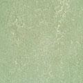 Forbo Marmoleum Dual Cool Green Vinyl Flooring