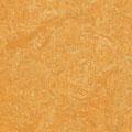 Forbo Marmoleum Fresco Golden Saffron Vinyl Floorint