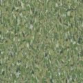 Forbo Marmoleum Prisma Herb Garden Vinyl Flooring