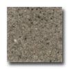 Fritztile Green Tile Grn800 1/8 Silver Gray Tile & Stone