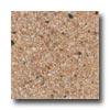 Fritztile Gree Tile Grn800 1/8 Desert Sand Tile & Stone