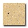 Fritztile Green Tile Grn800 1/8 Harvest Gold Tile & Stone