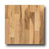 Hartco Sugar Creek Solid Maple Plank Country Natural Hardwood Floornig