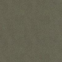 Ilva Ecoland 12 X 12 Unpolished Jungle Unpolished Tile & Stone