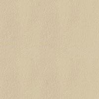 Ilva Ecoland 24 X 24 Textured Jungle Textured Tile & Stone