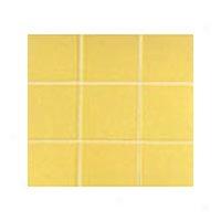 Interceramic Bold Tones 4 X 4 Yellow Jacket 545 Intboto100844