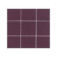 Interceramic Boldd Tones 4 X 4 Plum 568 Intboto101144