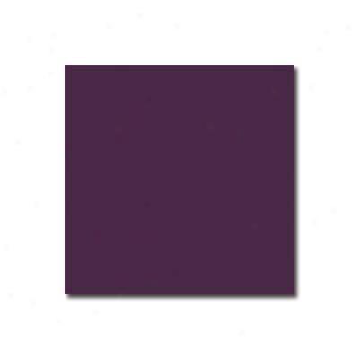 Interceramiic Bold Tones 4 X 4 Plum Tile & Stone