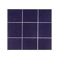 Interceramic Bold Tones 6 X 6 Classic Navy 589 Intboto100366