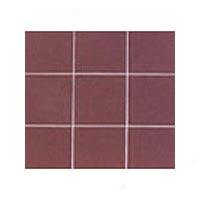 Interceramic Bold Tones 6 X 6 Wineberry 567 Intboto101066