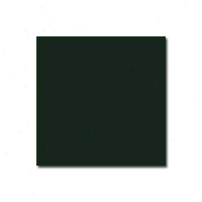 Interceramic Bold Tones 6 X 6 Evergreen Tile & Free from ~s