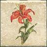 Intercrramic Botanical 4 X 4 Deco B Tile & Stone