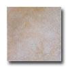 Interceramic Cotto Andalusi 12 X 12 Jaen Beige Tile & Stone