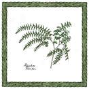 Interceramic Ferns Deco B - 6 X 6 Tile & Stone