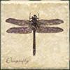 Interceramic Gsrden Guests Dragonfly B - 4 X 4 Tile & Stone