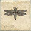 Interceramic Garden Guests Dragonfly C - 4 X 4 Tile & Stone