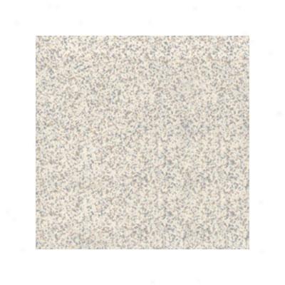 Interceramic Intertech Unglazed 8 X 8 Matte Grp 1 Uni Silver Tile & Stone