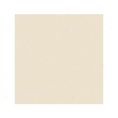 Intsrceramic Intertech - Unglazed 8 X 8 Matte Grp 1 Uni Ivory Tile & Stone