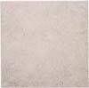 Interceramic Northwood 14 X 14 Spruce Tile & Stone