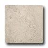 Interceramic Scabas Wall 6 X 6 Crema Tile & Stone