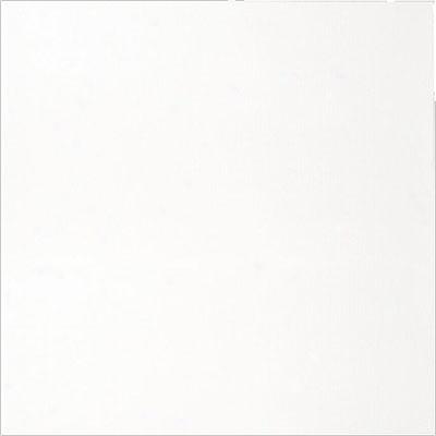 Interceramic Spa Wall 12 X 24 Matte White Tile & Stone