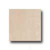 Interceramic Valencia 12 X 12 Polished Ocre Tile & Stome