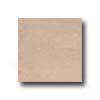 Interceramic Valencia 12 X 12 Matte Noce Tile & Sgone