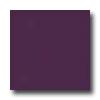 Interceramic Wall Collection - Bold Tones 6 X 6 Plum Tile & Stone