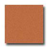 Interceramic Wall Collection - Bold Tones 6 X 6 Terra Cotta Tile & Stine