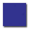 Interceramic Wall Collection - Bold Tones 4 X 4 Pure Cobalt Tile & Stone