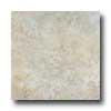 Italgres Tivoli 20 X 20 Ash Tile & Stone