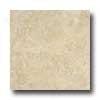 Italgres Tivoli 20 X 29 Beige Tile & Stone