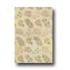 Kaleen Moods 10 X 13 La Playa Ivory Area Rugs