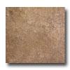 Laufen Vail 18 X 18 Pine Tile & Stone